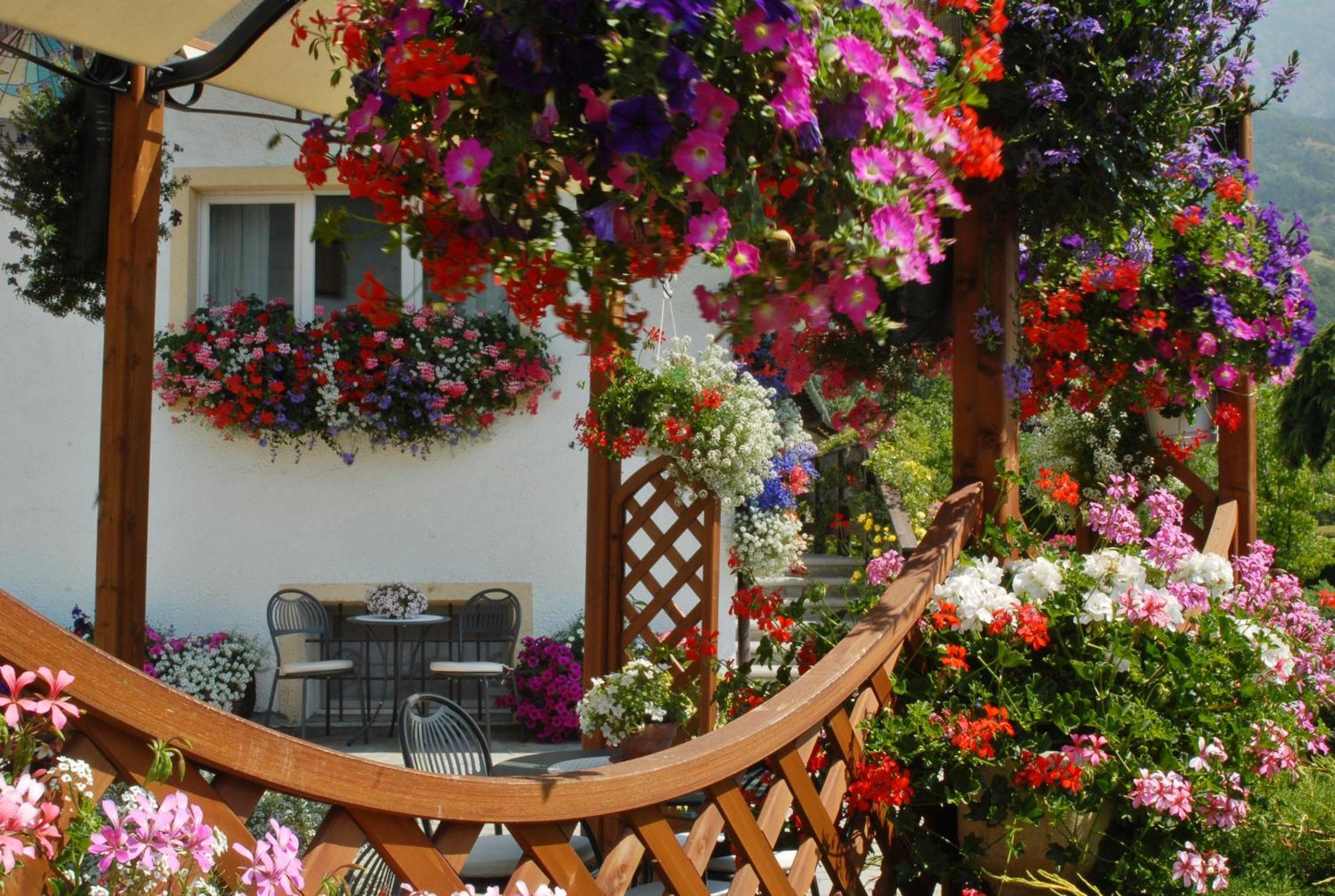 La Roche Hotel Appartments Aosta Bagian luar foto